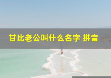 甘比老公叫什么名字 拼音